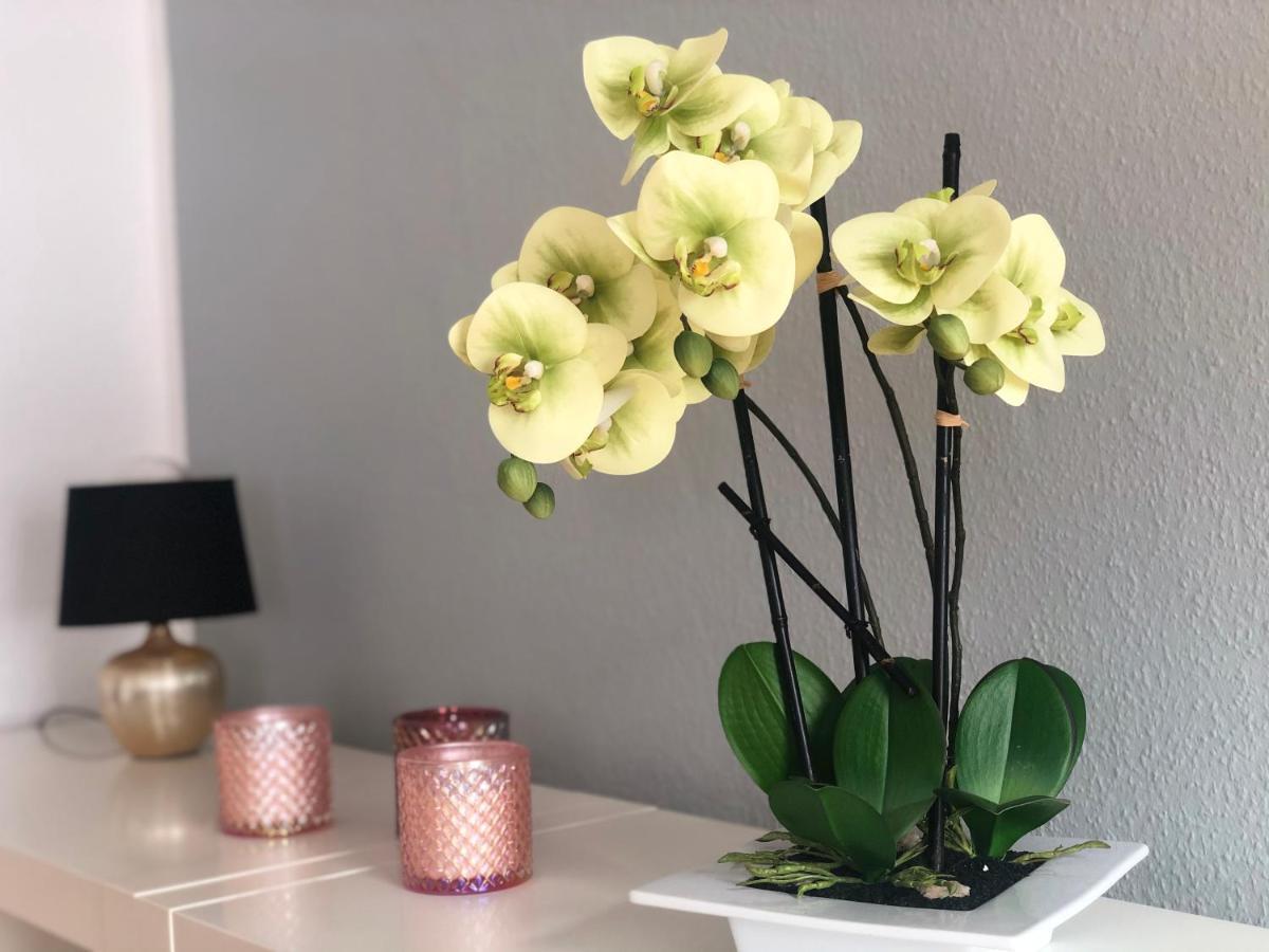 Apartment Wohnen Zuhause - Zu Gast In